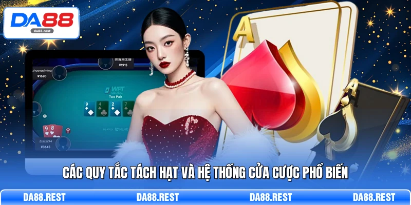 Fan Tan – Luật Chơi Và Bí Quyết Soi Cầu Hạt Đậu Chuẩn Xác 3 Các quy tắc tách hạt và hệ thống cửa cược phổ biến