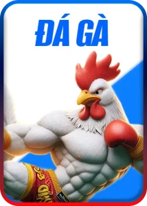 da ga da88 214x300 1