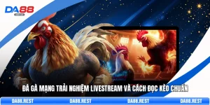 Đá Gà Mạng Trải Nghiệm Livestream Và Cách Đọc Kèo Chuẩn