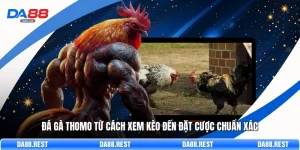 Đá Gà Thomo Từ Cách Xem Kèo Đến Đặt Cược Chuẩn Xác